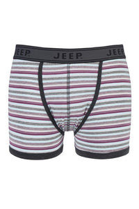 Mens 1 Pair Jeep Spirit Cotton Multi Stripe Trunks In Grey